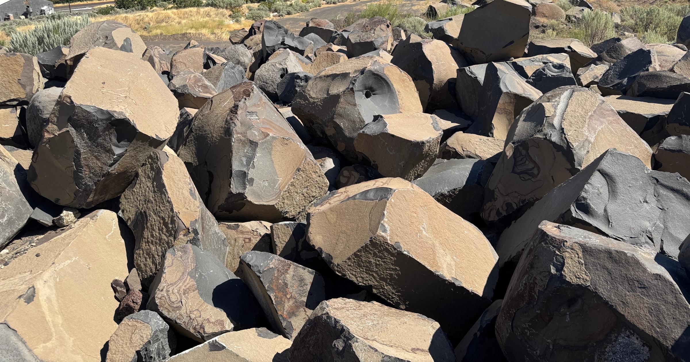 The Rock Is Real WSU and OSU Make Their Rivalry Official