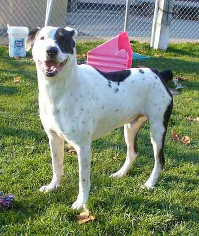 <!-- Feature creature  -->