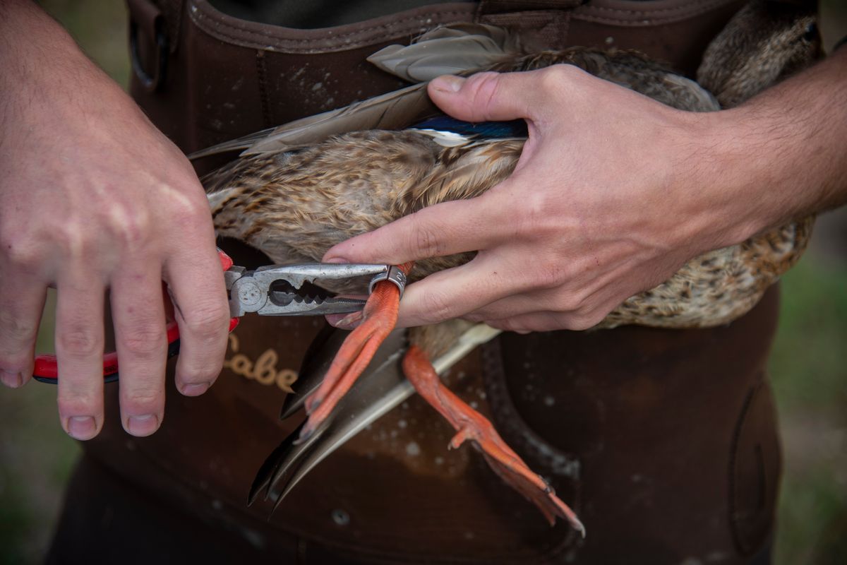 WDFW and Kalispel Tribe of Indians host free National Hunting and