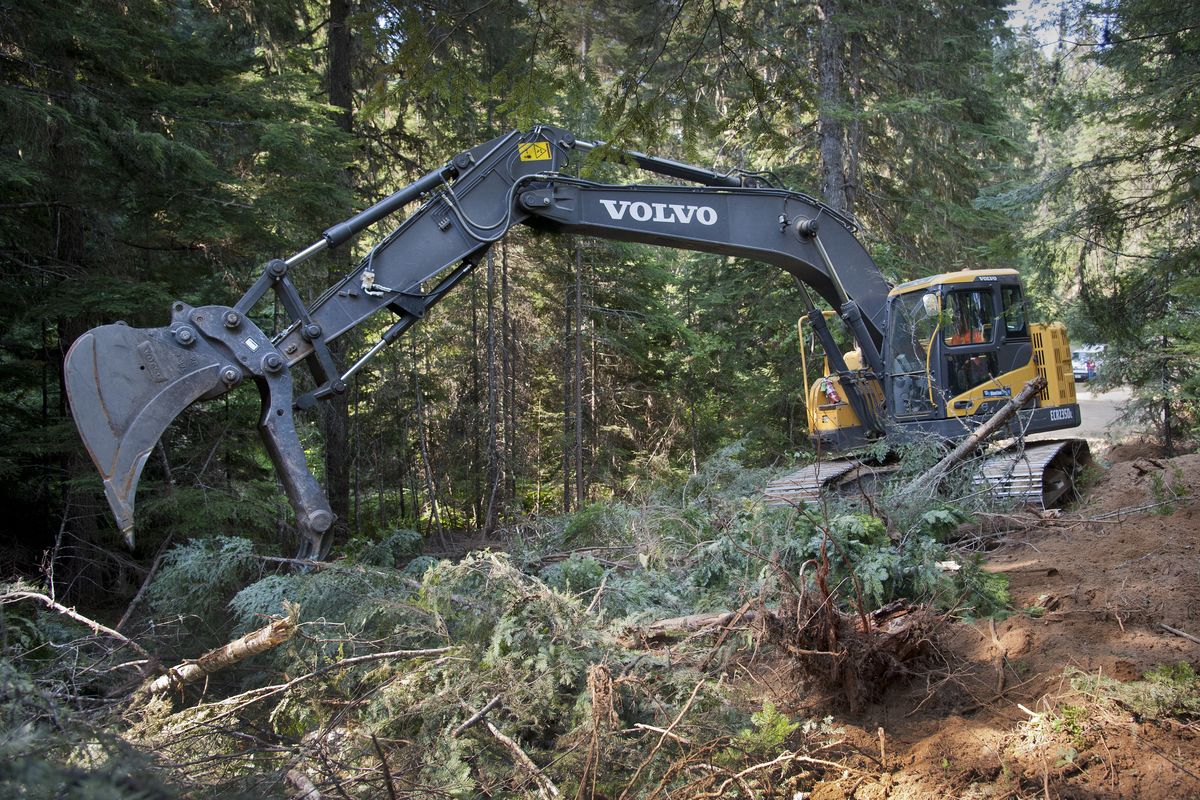 Corey Marang of Northwind Construction deconstructs Road 1590 B in the Idaho Panhandle National Forests last week as part of the Moose Drool Watershed Restoration Project. (Dan Pelle)