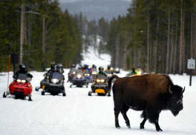 
A lone bison crosses a road ahead of a pack of snowmobilers in Yellowstone National Park, Wyo., in this Jan. 3, 2003,  photo. Associated Press
 (File Associated Press / The Spokesman-Review)