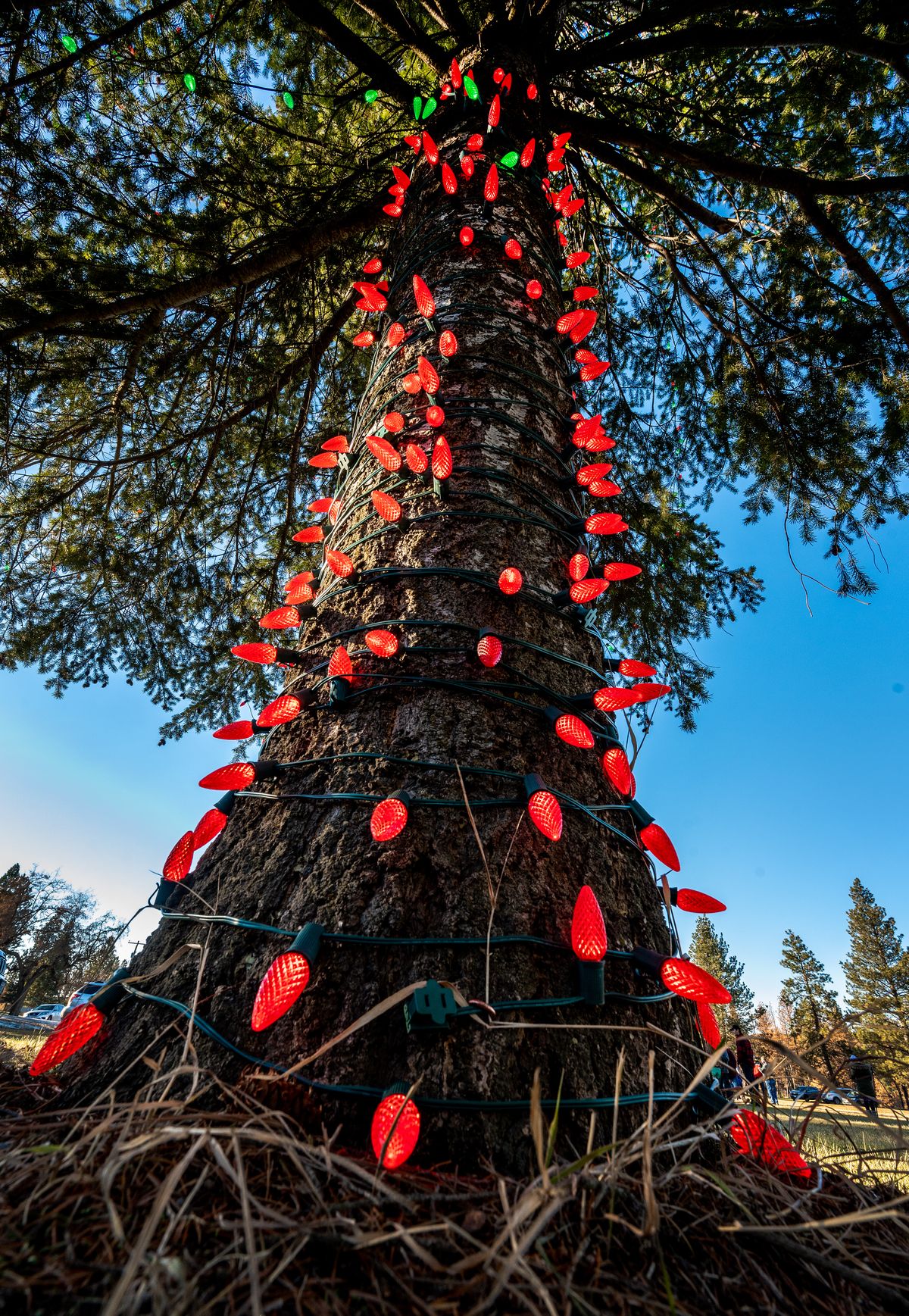 After the Pine Creek Community Meeting, residents of the wildfire-damaged town of Malden, Wash., gather in the town’s community park for a holiday tree lighting, Sat., Dec. 5, 2020.  (Colin Mulvany/THE SPOKESMAN-REVIEW)