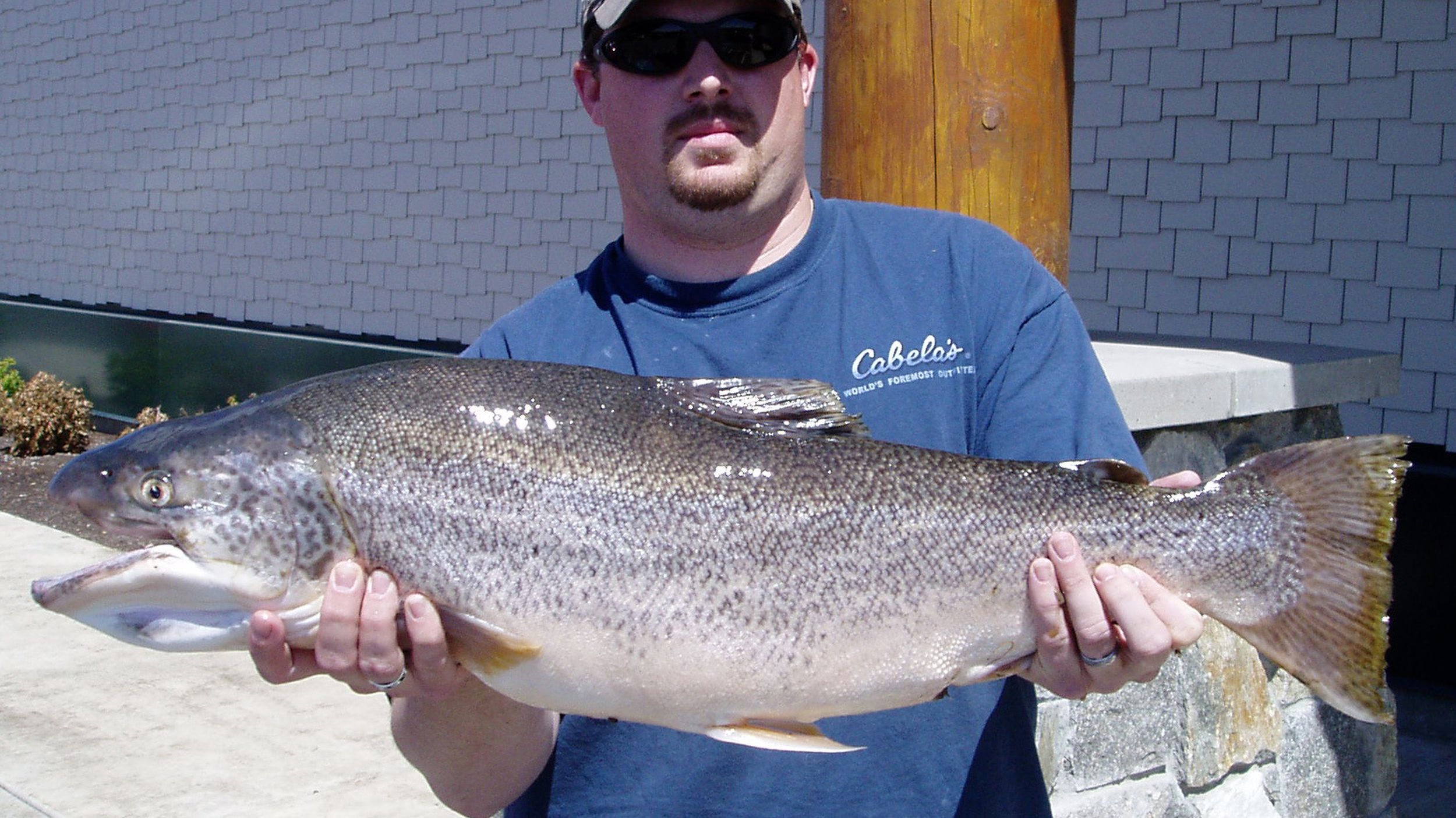 State-record tiger trout expected soon in Idaho