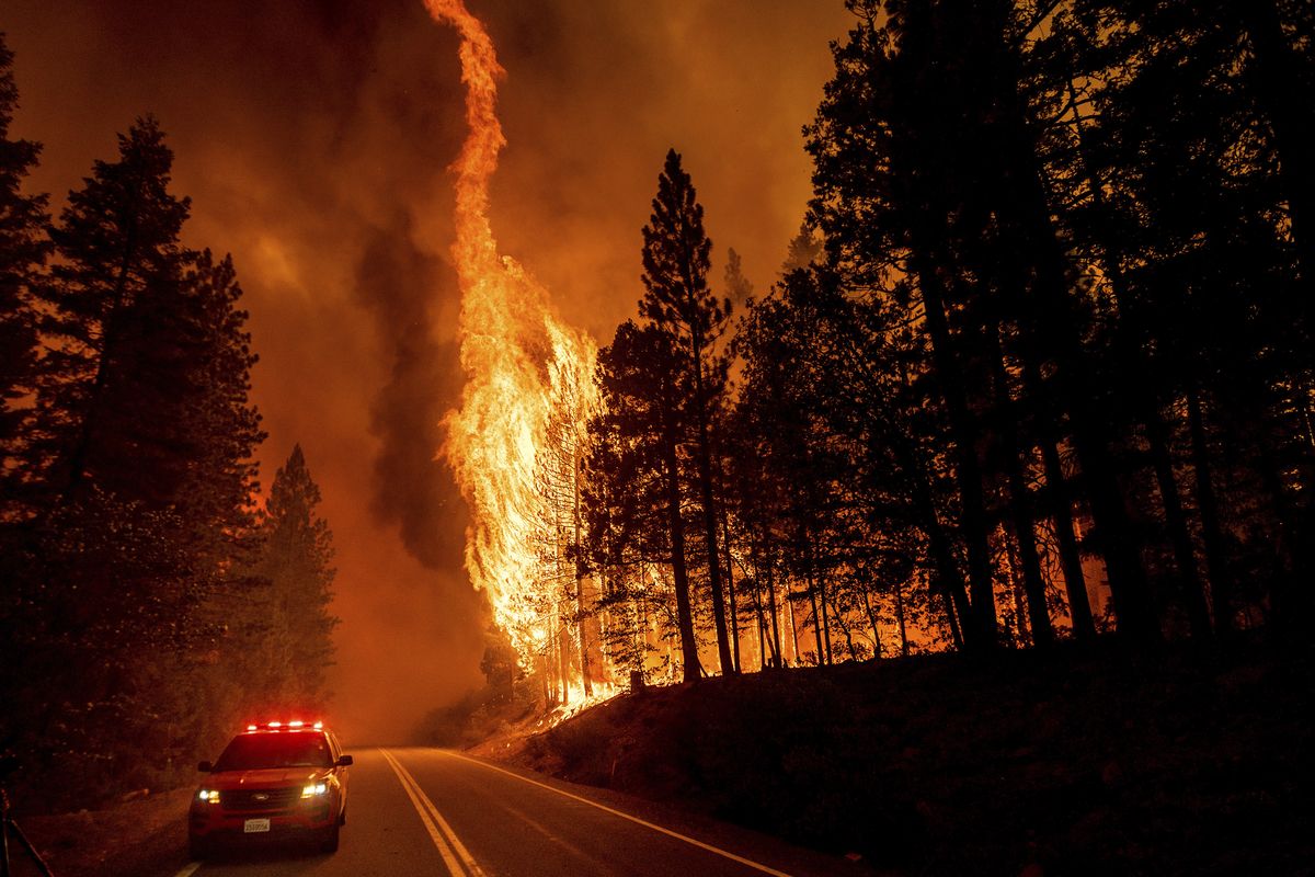 Flames leap from trees as the Dixie Fire jumps Highway 89 north of Greenville on Aug. 3 in Plumas County, Calif.  (Noah Berger)