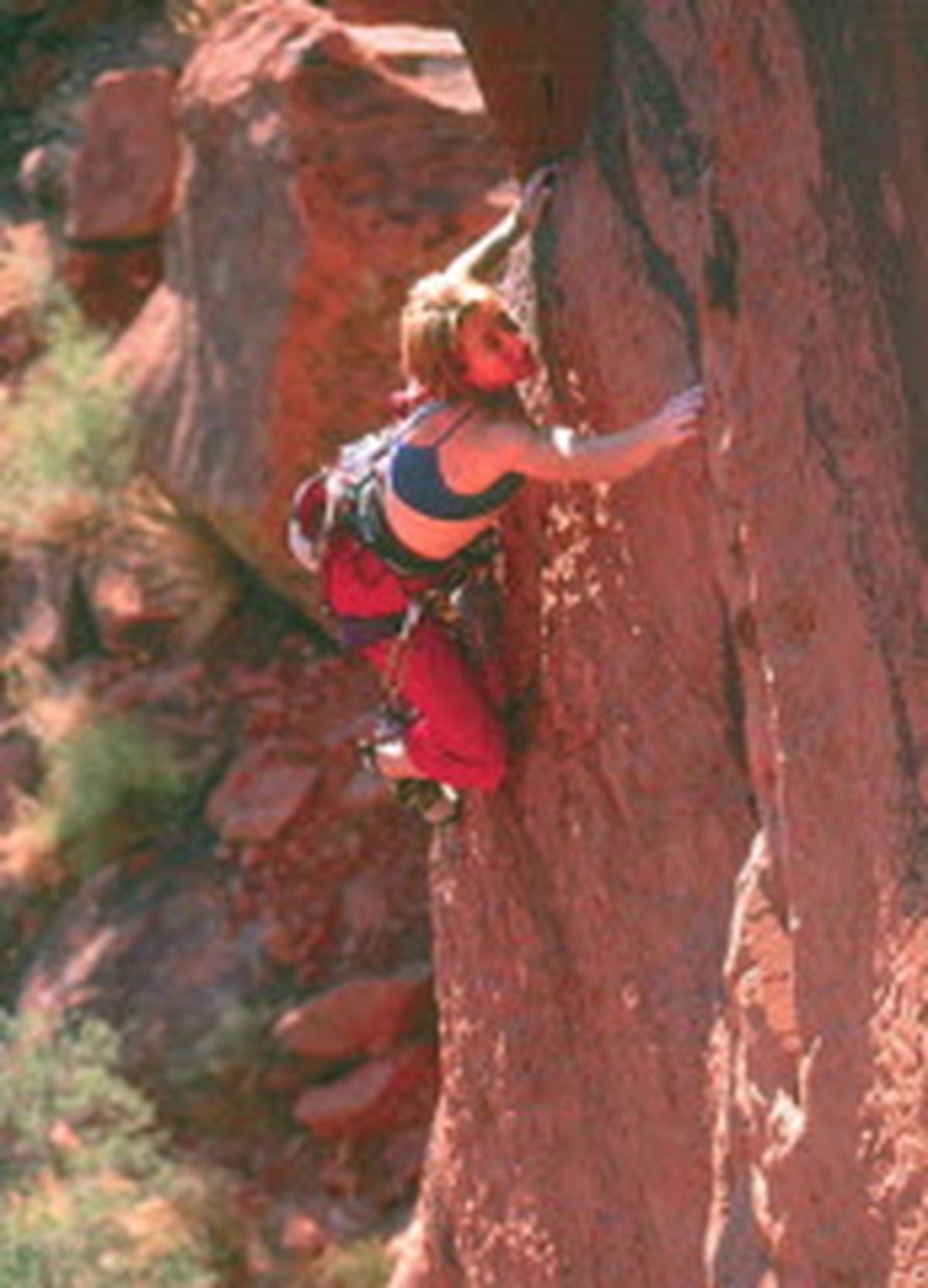 Red Rock Rendezvous near Las Vegas has programs for new climbers. (Jared Mcmillen)