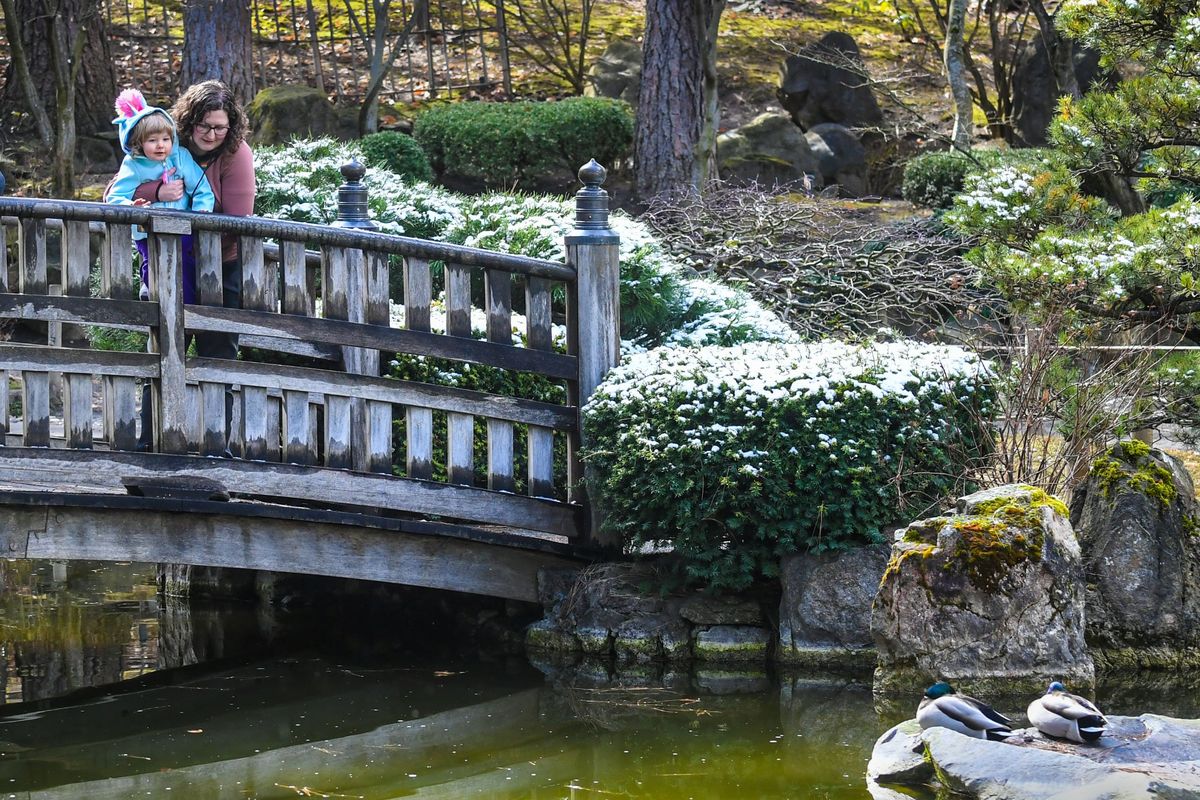 Tori Bailey and her daughter, Linden, 2½, of Spokane, view ducks and hiding fish in the Nishinomiya Tsutakawa Japanese Garden in Manito Park on Monday morning while the bushes were partially covered in snow. Tori said they wanted to see something beautiful after being inside over the weekend.  (DAN PELLE/THE SPOKESMAN-REVIEW)