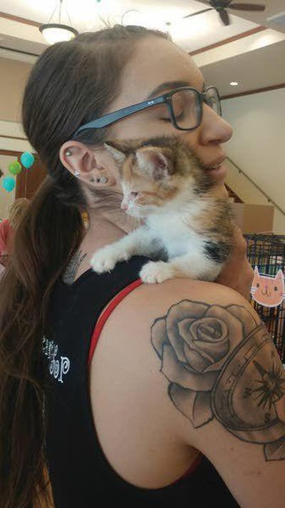 Humane Society of the Palouse operations manager Sierah Beeler holds a calico kitten at the Society’s first ever “Kitten Shower.” (Moscow-Pullman Daily News)