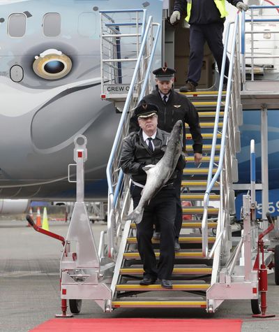 Captain Michael Adams, lower left, carries a large Copper River king salmon as he walks with first officer Bob Hood, upper right, down some steps from an Alaska Airlines 737 airplane, dubbed the “Salmon Thirty Salmon” for its paint job featuring a salmon from the state of Alaska, Friday, May 18, 2018, at Seattle-Tacoma International Airport in Seattle. The plane was carrying thousands of pounds of the first shipment of Copper River salmon and the annual arrival of the fish is a rite of spring in Seattle, where the fish are prized for their flavor and bring the highest prices at restaurants and fish markets. (Ted S. Warren / Associated Press)