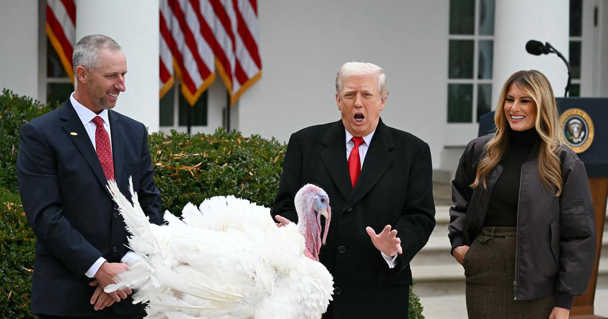 Image for Trump pardons Thanksgiving turkeys with digs at Biden, Schumer and Pelosi