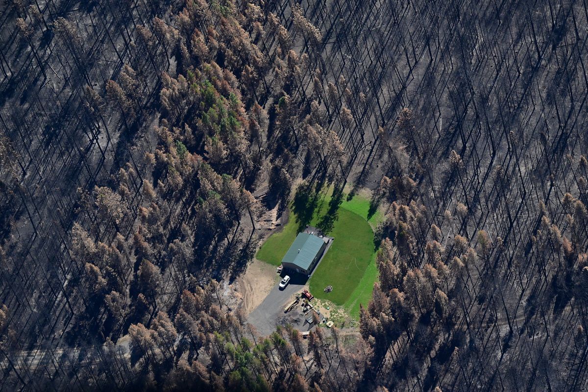 Damage from the Oregon Road fire is shown from the air near Elk, Wash.  (Tyler Tjomsland/The Spokesman-Review)