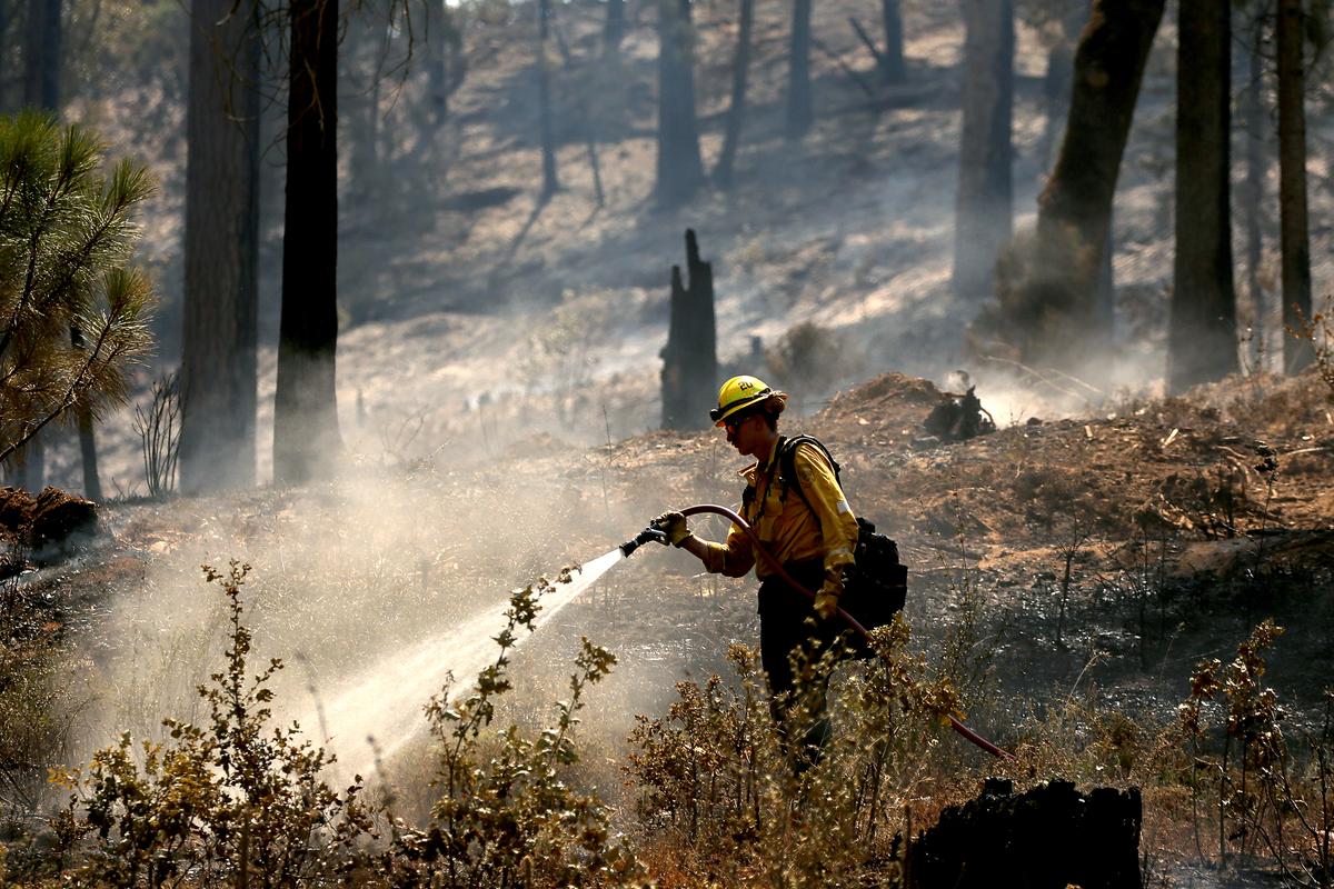 A firefighter puts out hotspots in the burn zone of the Oak fire near Mariposa, California on Wednesday, July 27, 2022. (Luis Sinco/Los Angeles Times/TNS) (Luis Sinco/Los Angeles Times/TNS)