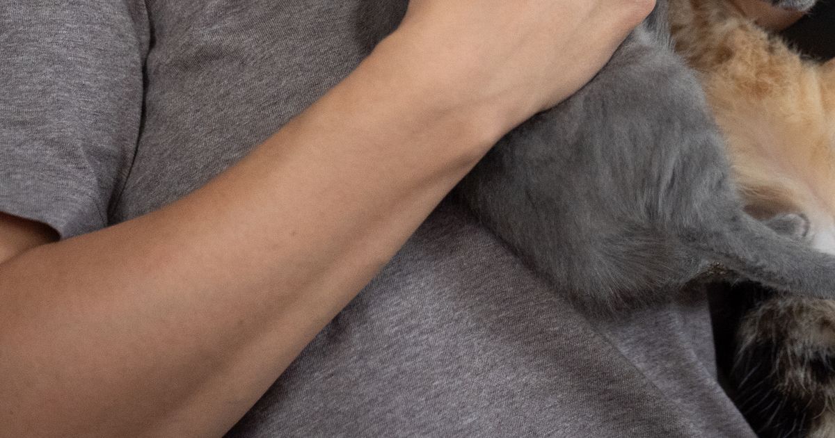 D.C. cat guy goes viral fostering and bottle feeding hundreds of kittens
