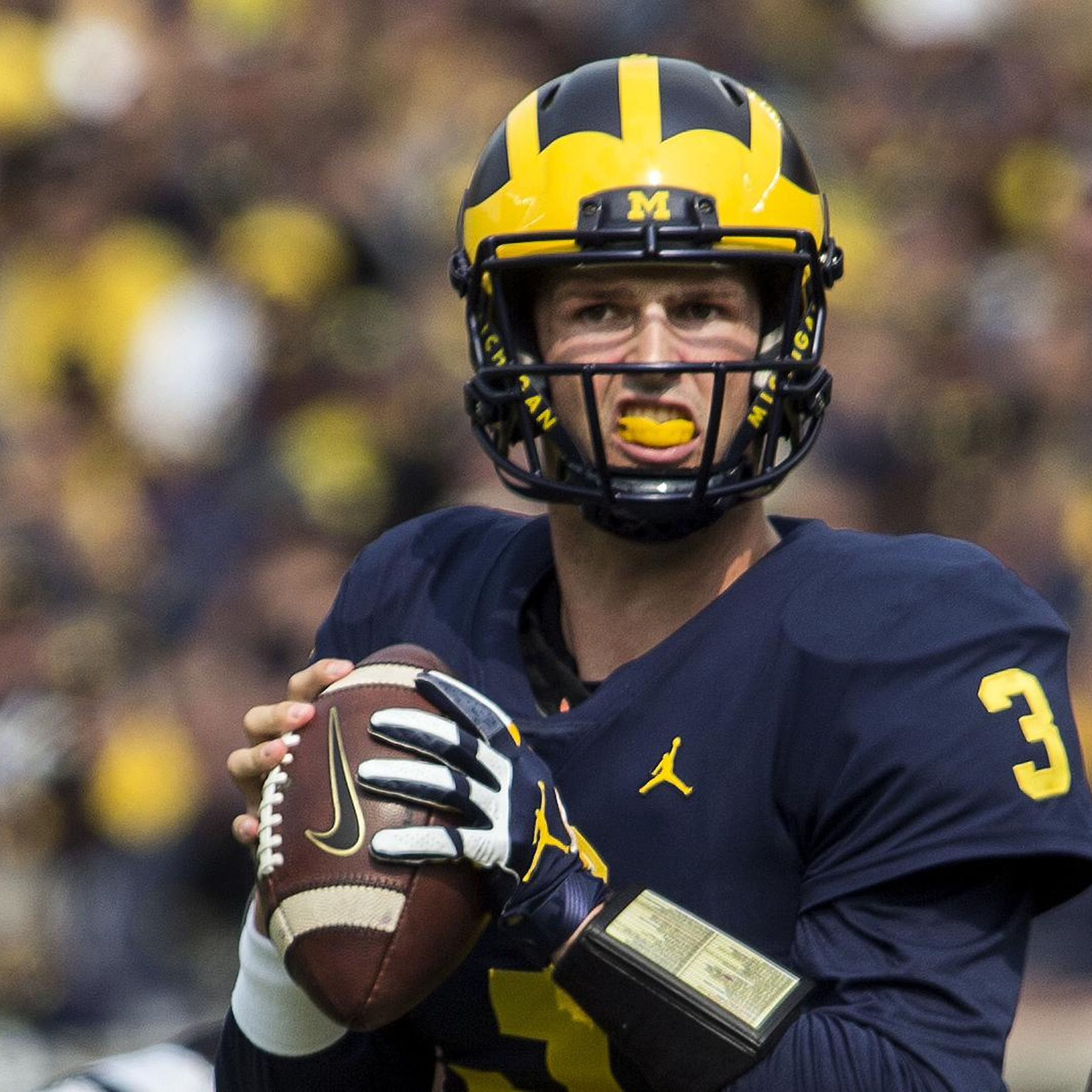 Wilton Speight