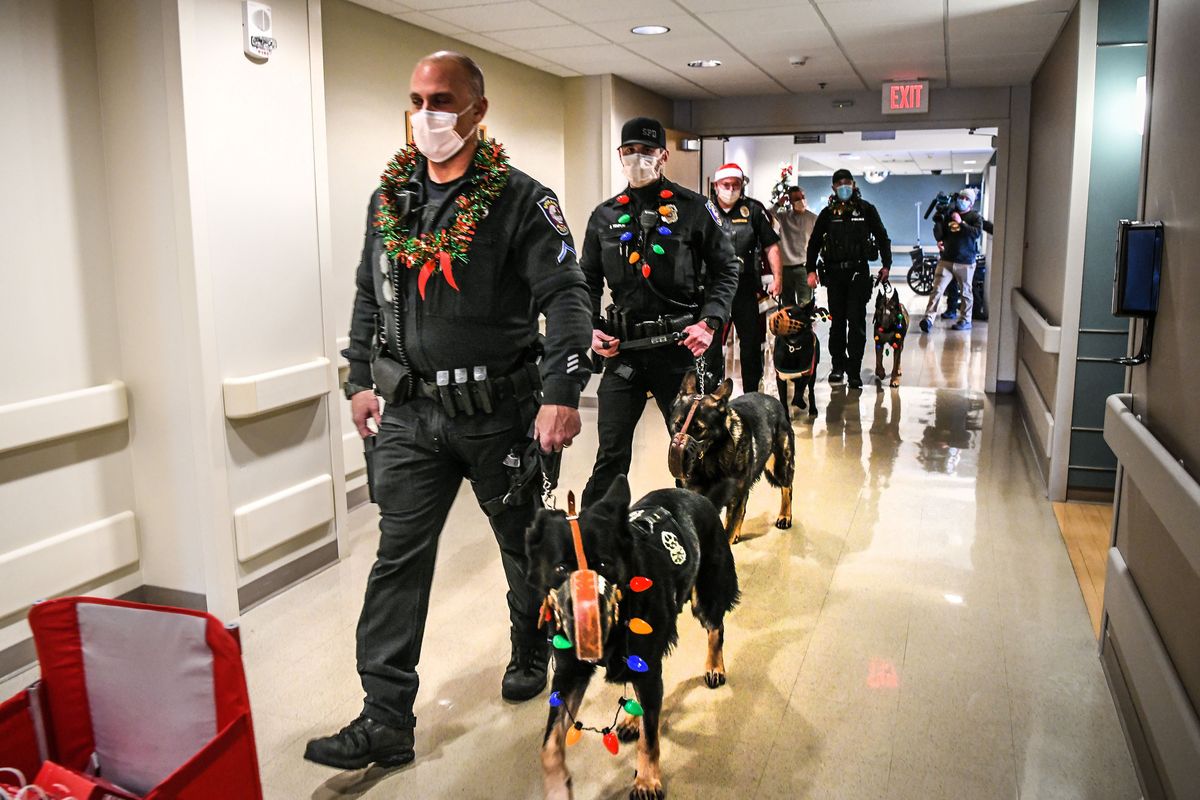 Spokane Police K-9 handler Todd Belitz and Zeus, leads SPD handler Zach Tomlin and Slash, Providence Sacred Heart K-9 supervisor Patrick McKenna and, Sarge, and SPD handler SPD handler Brian Blankenstein with Ciro through the hallways of Sacred Heart as area K-9 units delivers gifts and joy, Wednesday, Dec. 22, 2021 in Spokane.  (DAN PELLE/THE SPOKESMAN-REVIEW)