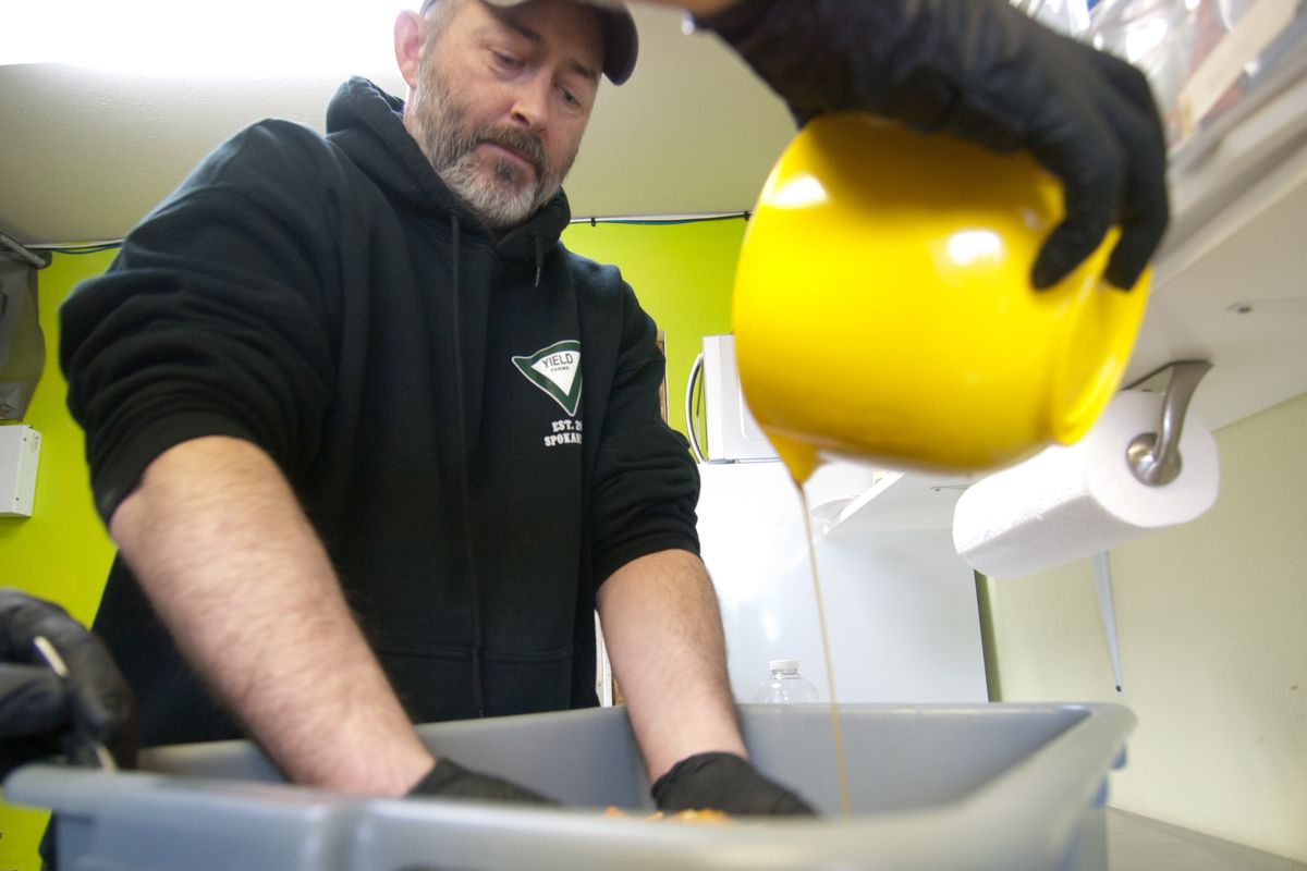 Colin Lukey from Yield Farms pours cannabis oil over crackers while Wes Tuttle arranges them.  (Shallan Knowles / EVERCANNABIST Correspondent)