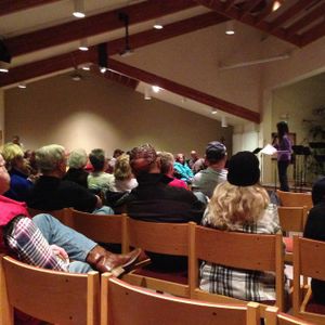 Jennifer Mudge, in purple, addresses residents of neighborhoods near Wandermere Golf Course about a proposed apartment complex at Covenant United Methodist Church on Sunday, Feb. 8, 2015. (Kip Hill)