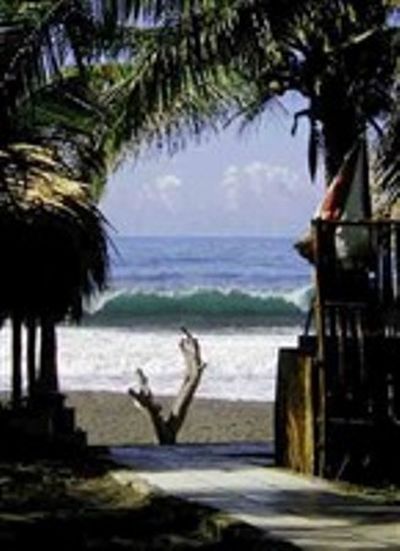 Back at Johnny's Place. Photo courtesy of http://www.monterrico-guatemala.com/johnnys-place.htm (Andrea Shearer)