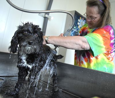  (The Spokesman-Review)