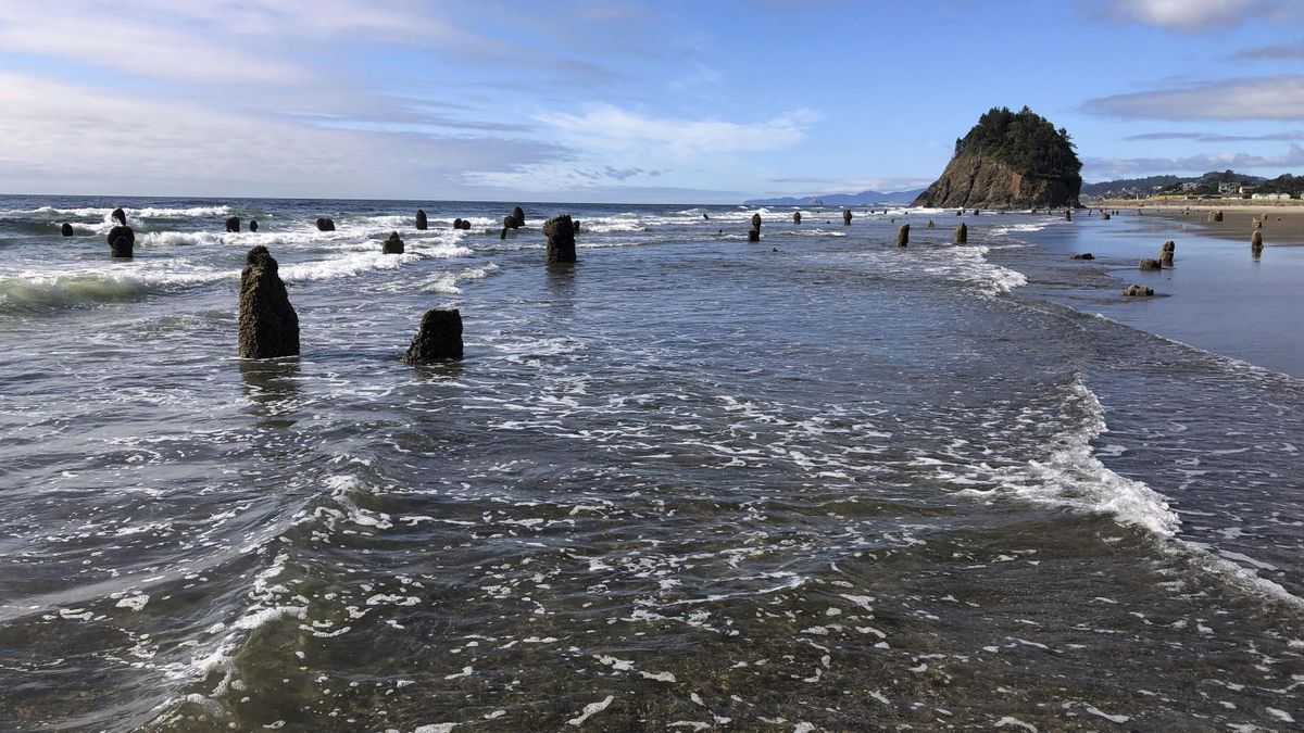 Oregon tsunami news