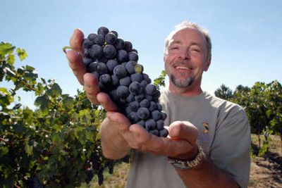 
Mike Scott, winemaker and vice president of Lone Canary Winery, visits the vineyard once a week to gather samples of grapes from his rows for testing. 
 (Photos by E.B. McGovern/For the Spokesman Review / The Spokesman-Review)