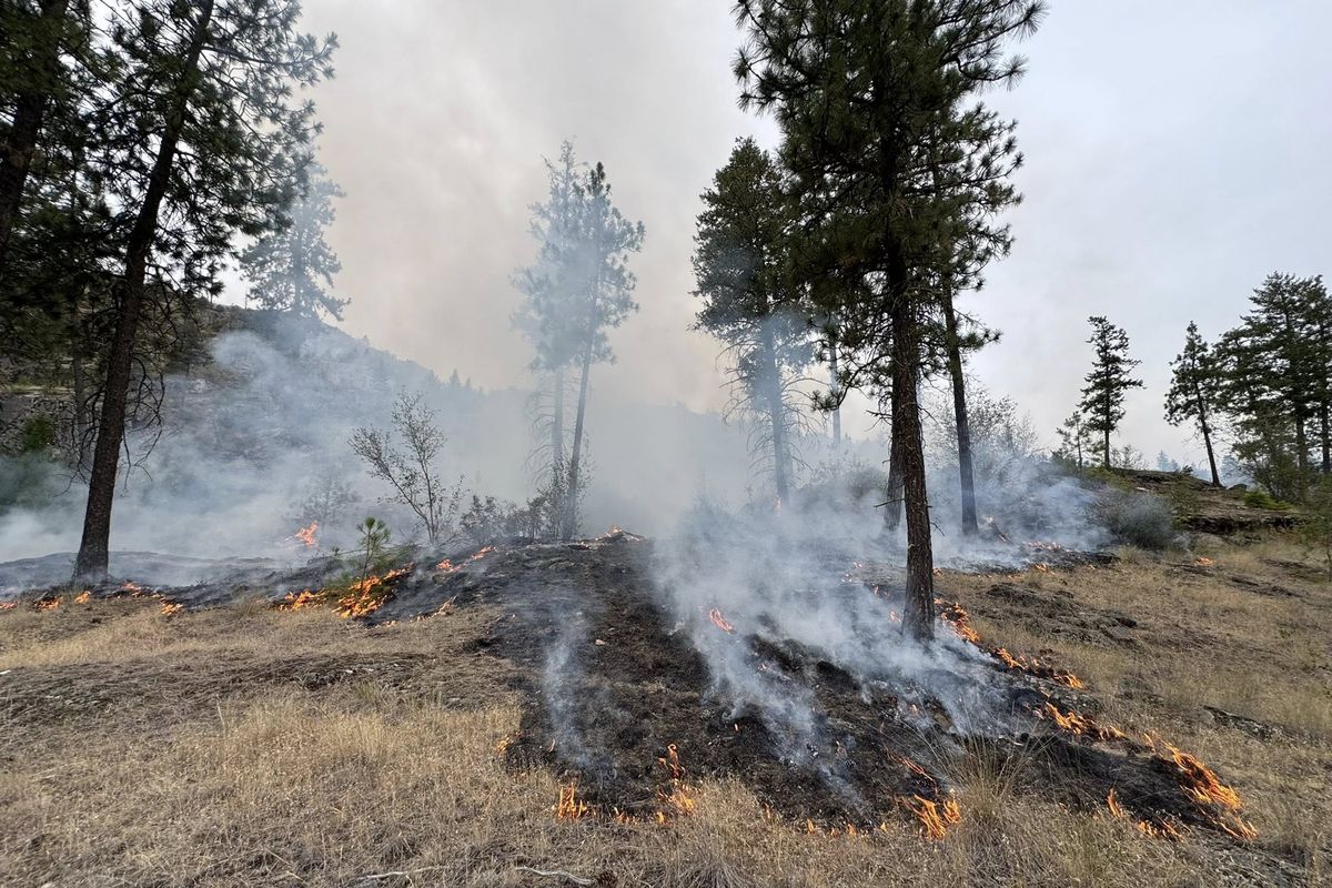 Crews continue to battle the Lake Spokane fire that kicked off Saturday afternoon. On Monday, burnout operations were conducted near state Highway 291 making smoke and flames highly visible from the road.  (Photo courtesy of Northeast Washington Fire Information)