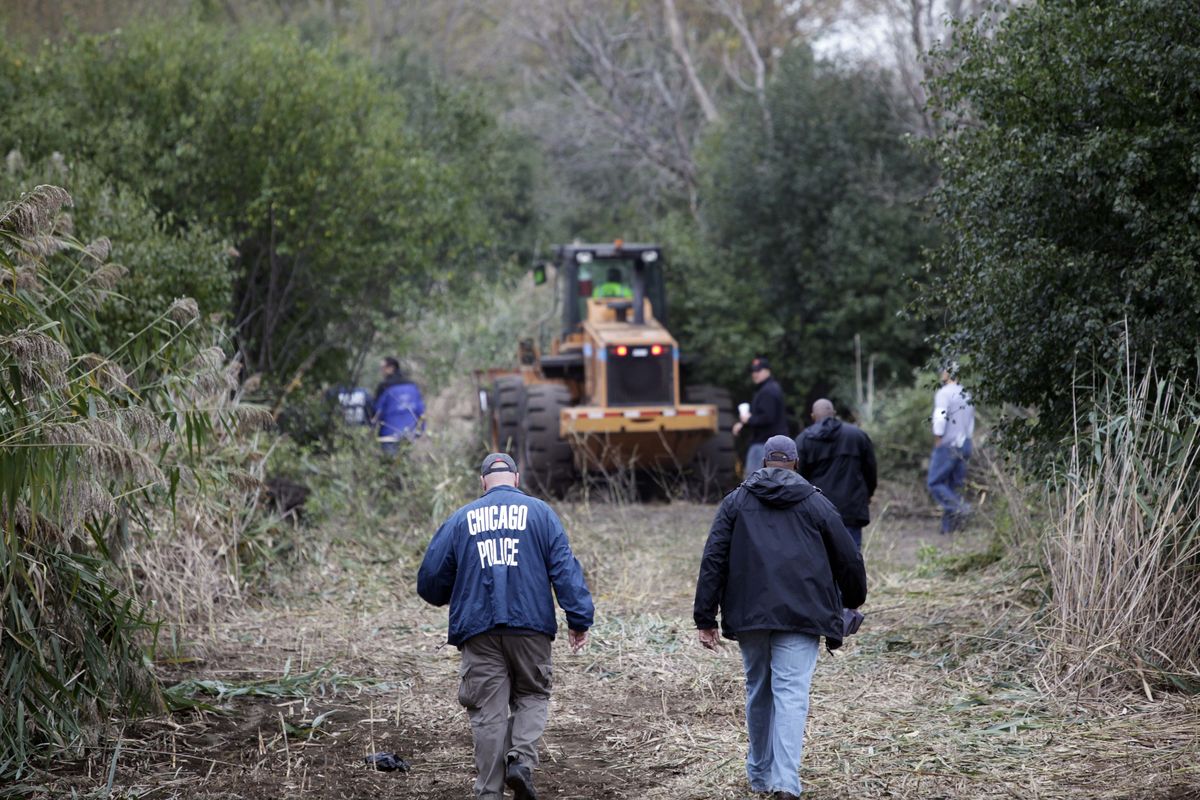 Chicago Police officers enter an area where authorities are busy chopping down 6-to-8-foot tall marijuana plants that they found growing on a chunk of land the size of two football fields on the city