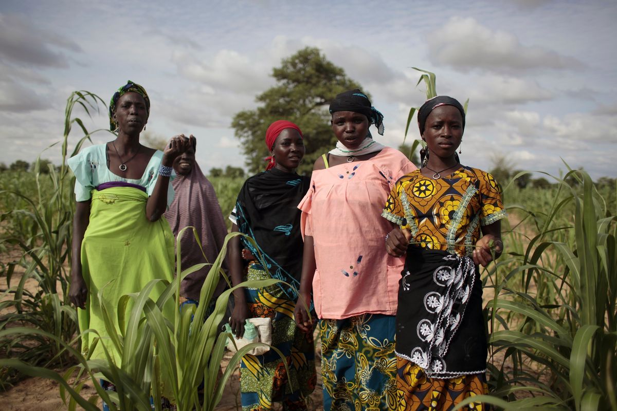 Young girls stand in a field of millet outside the remote village of Hawkantaki, Niger, on July 19, 2012. A group of international aid organizations said Tuesday  that West Africa is facing its worst food crisis in a decade due to increasing conflict, drought, flooding and the crisis in Ukraine that is affecting food prices and worsening an already disastrous situation.  (Associated Press)