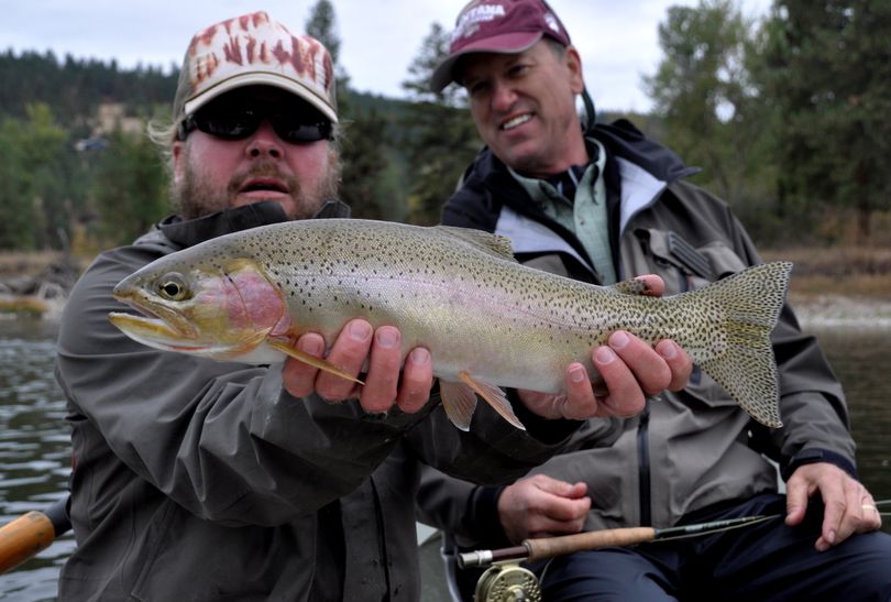 Area trout rivers prime for fly fishing