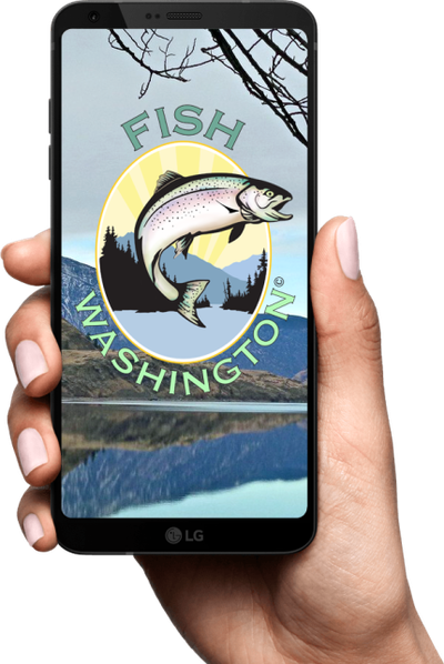 The Washington Department of Fish and Wildlife is launching a beta version of its Fish Washington app.   (Courtesy of the Washington Department of Fish and Wildlife )