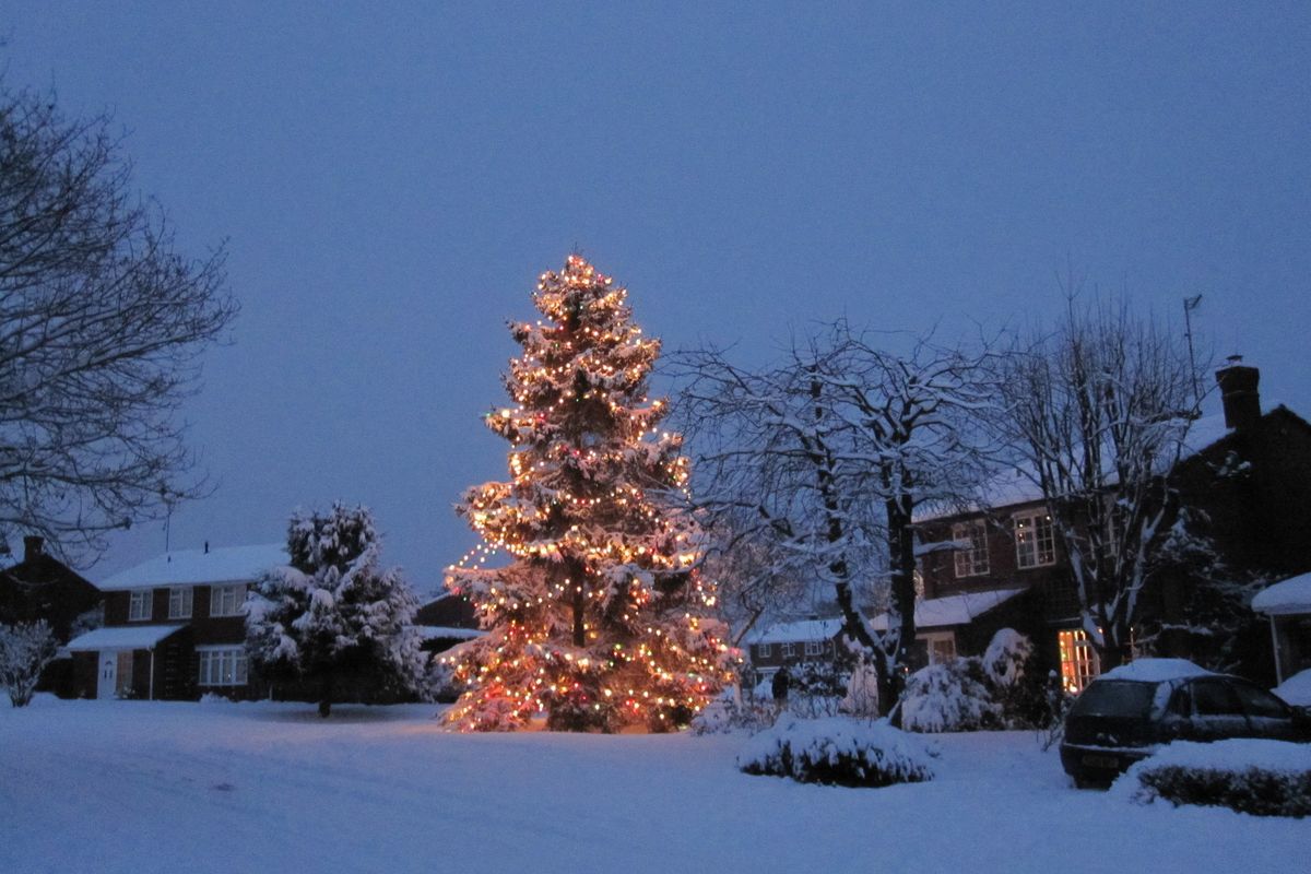 Avril and Chris Rowlandses’ Christmas tree on their front lawn in Inkberrow, a rural village in Worcestershire, England. 