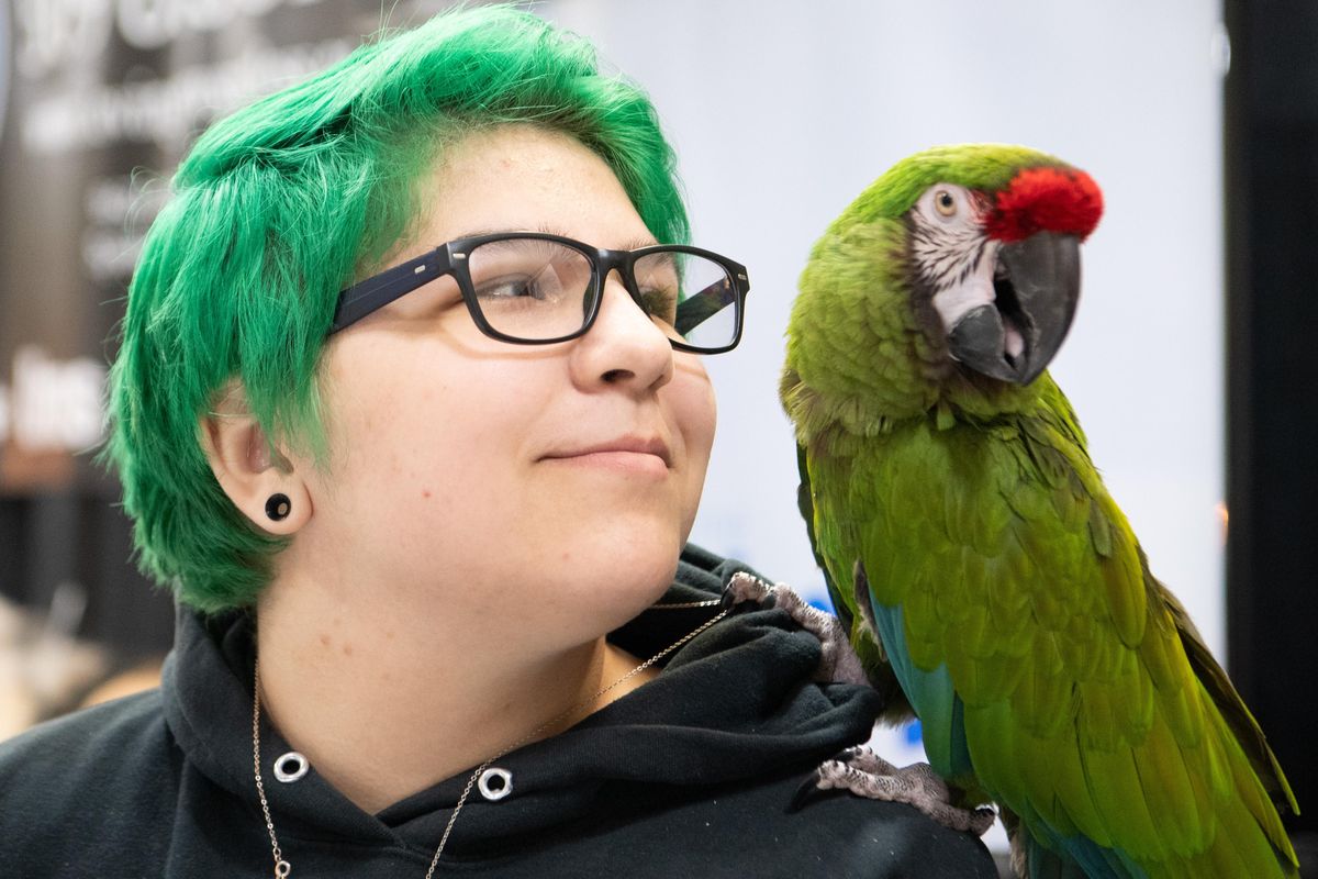 Christine Justice talks with a 29-year-old military macaw named Nino while volunteering at the booth for Sparky’s Bird Store Saturday, Mar. 30, 2019 at the Northwest Pet Expo at the Spokane County Fair and Expo Center. (Jesse Tinsley / The Spokesman-Review)