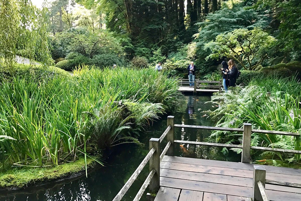 Serenity abounds at the Portland Japanese Garden in Washington Park, where a zigzag bridge offers views -- and photo ops -- of koi swimming below. (Jackie Burrell/Bay Area News Group/TNS) (Jackie Burrell / TNS)