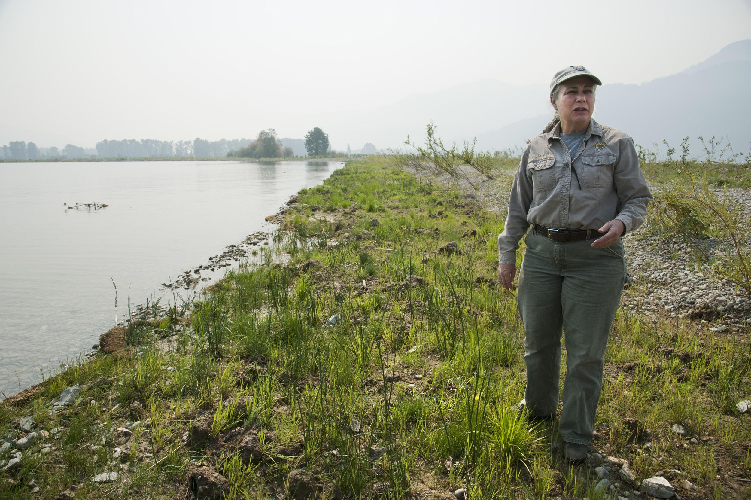 Clark Fork Delta restoration work continues The SpokesmanReview
