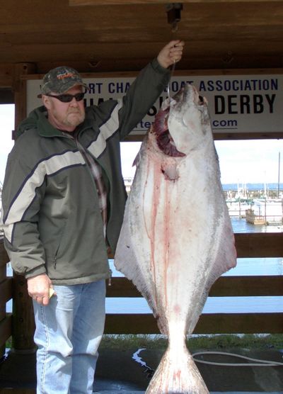 This 64-pound halibut caught May 10 by Donald Engle of Spokane won the Westport weekly derby prize of $500, and it could be the season winner for another $1,000.