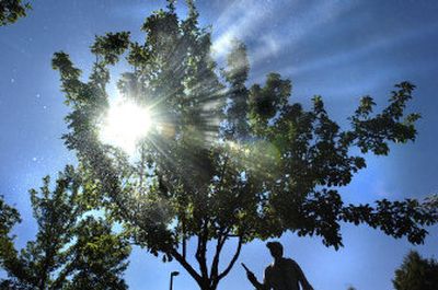 
Finally, if you hire someone to maintain your trees, make sure you get a trained arborist, not a chainsaw-outfitted driver in a pickup truck going door-to-door.
 (SR File Photo / The Spokesman-Review)