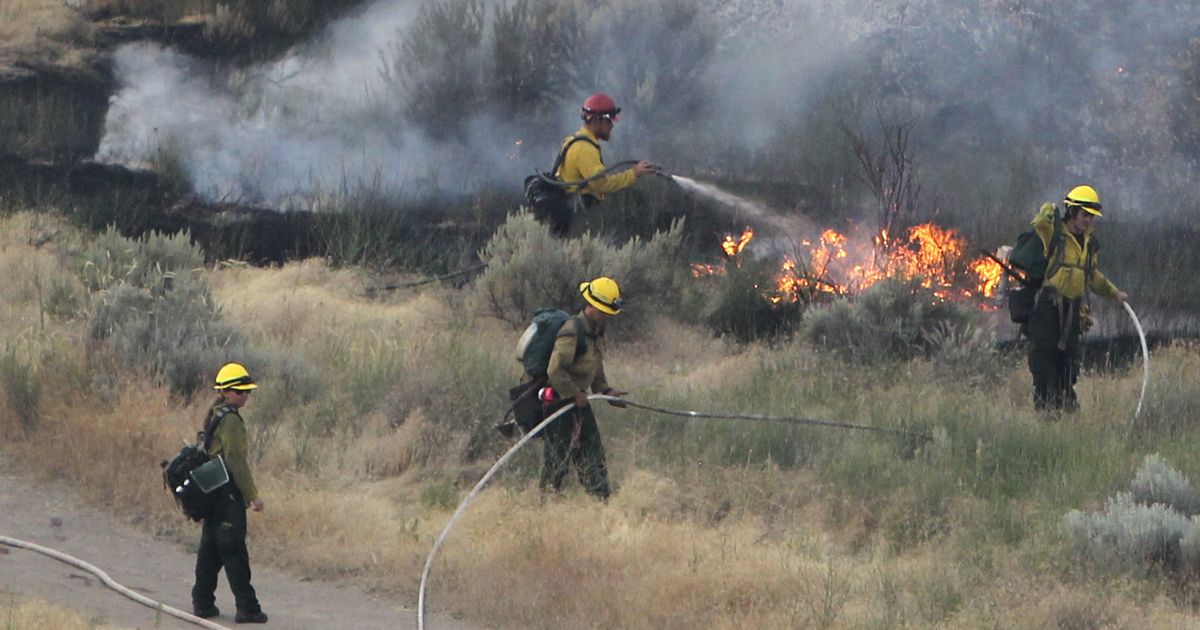 US wildland firefighting force urged to get vaccinated | The Spokesman ...