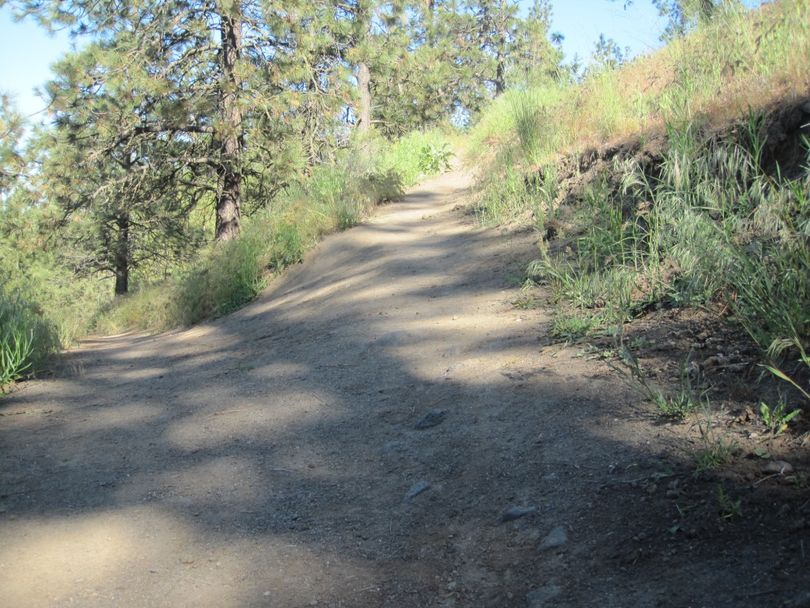 This is an example of erosion that needs reconstruction along the South Hill bluff trail system below High Drive. (Diana Roberts)