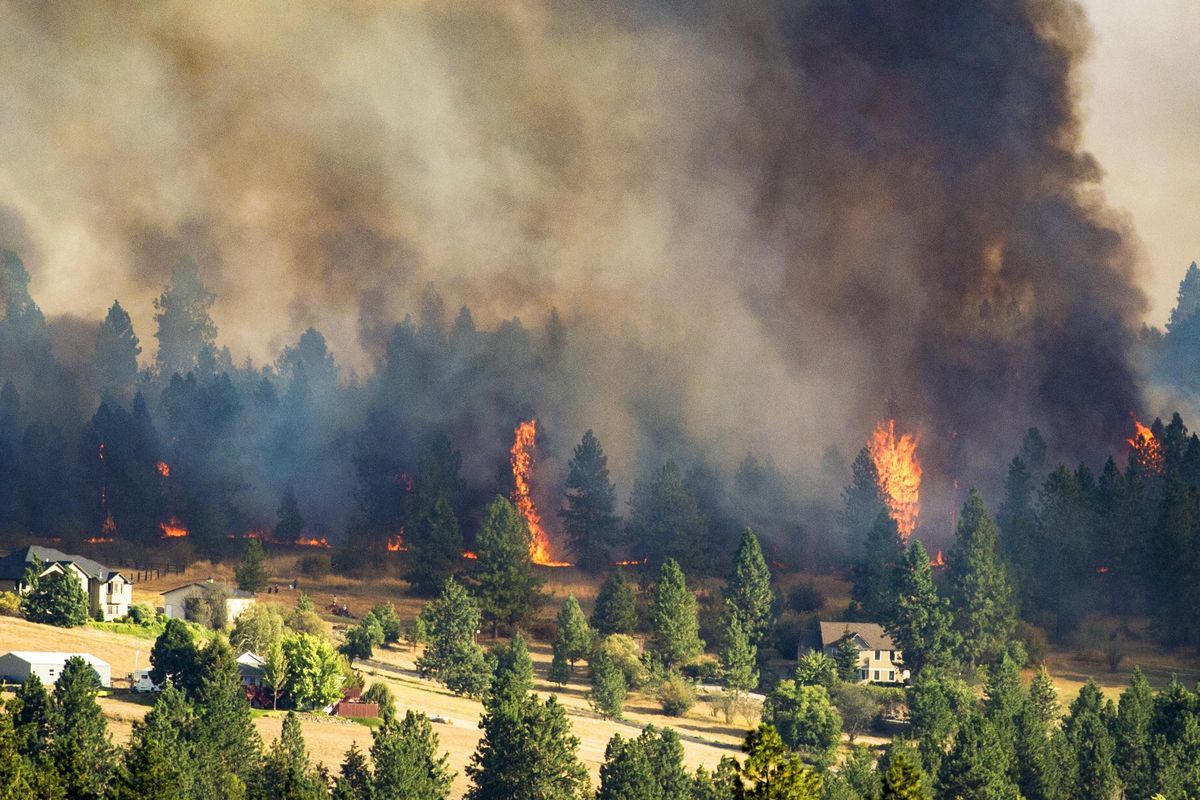 A fast-moving wildfire approaches homes on the north side of Beacon Hill, Sunday, Aug. 21, 2016, in Spokane. (Colin Mulvany / The Spokesman-Review)