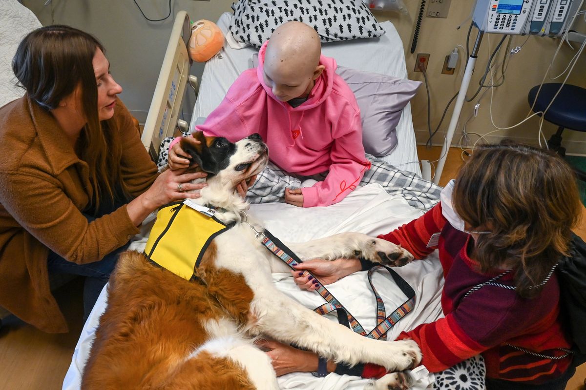 Spokane hospitals invite back therapy dogs with call to expand canine care:  'It lightens their load for just a few minutes' | The Spokesman-Review