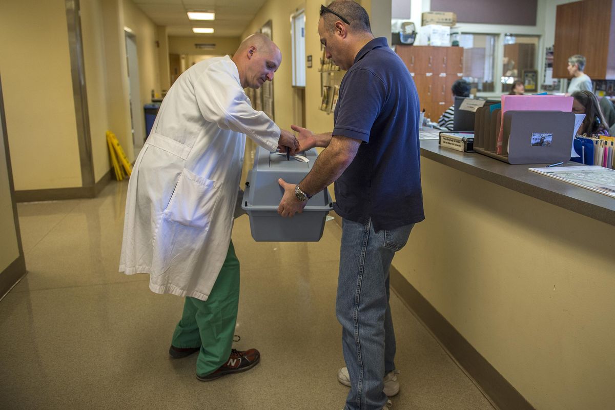 Michael Altamirano, right,  hands  his cat Morris to Dr. Boaz Arzi, who is working on stem cell research with cats at UC Davis. (Renee C. Byer / TNS)
