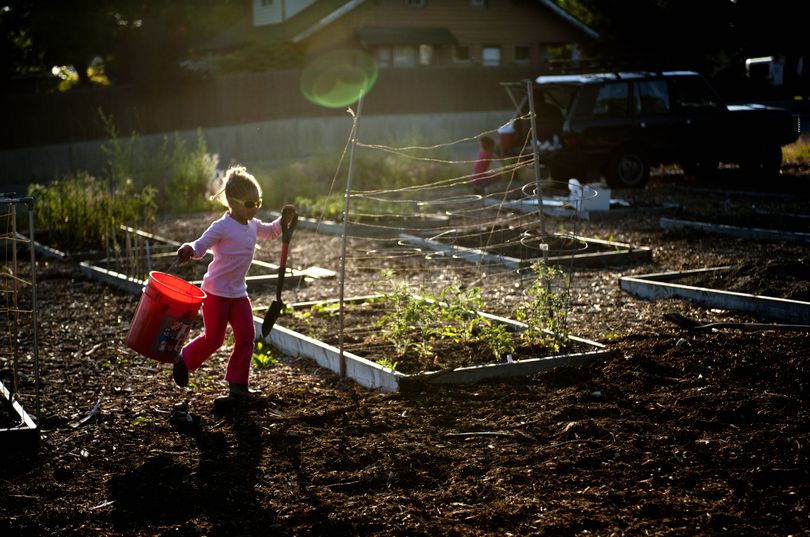Aliyah Forrester, 5, runs with a bucket and shovel Monday, through the Pumpkin Patch Community Garden in Millwood. Her grandparents, Doug and Teresa Sadler, help run the garden. (Tyler Tjomsland)