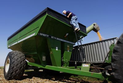 Gary Niemeyer uses a shovel to force the last corn toward the bottom of the auger on his farm near Auburn, Ill., last month. Niemeyer grows corn and soybeans.  (Associated Press / The Spokesman-Review)