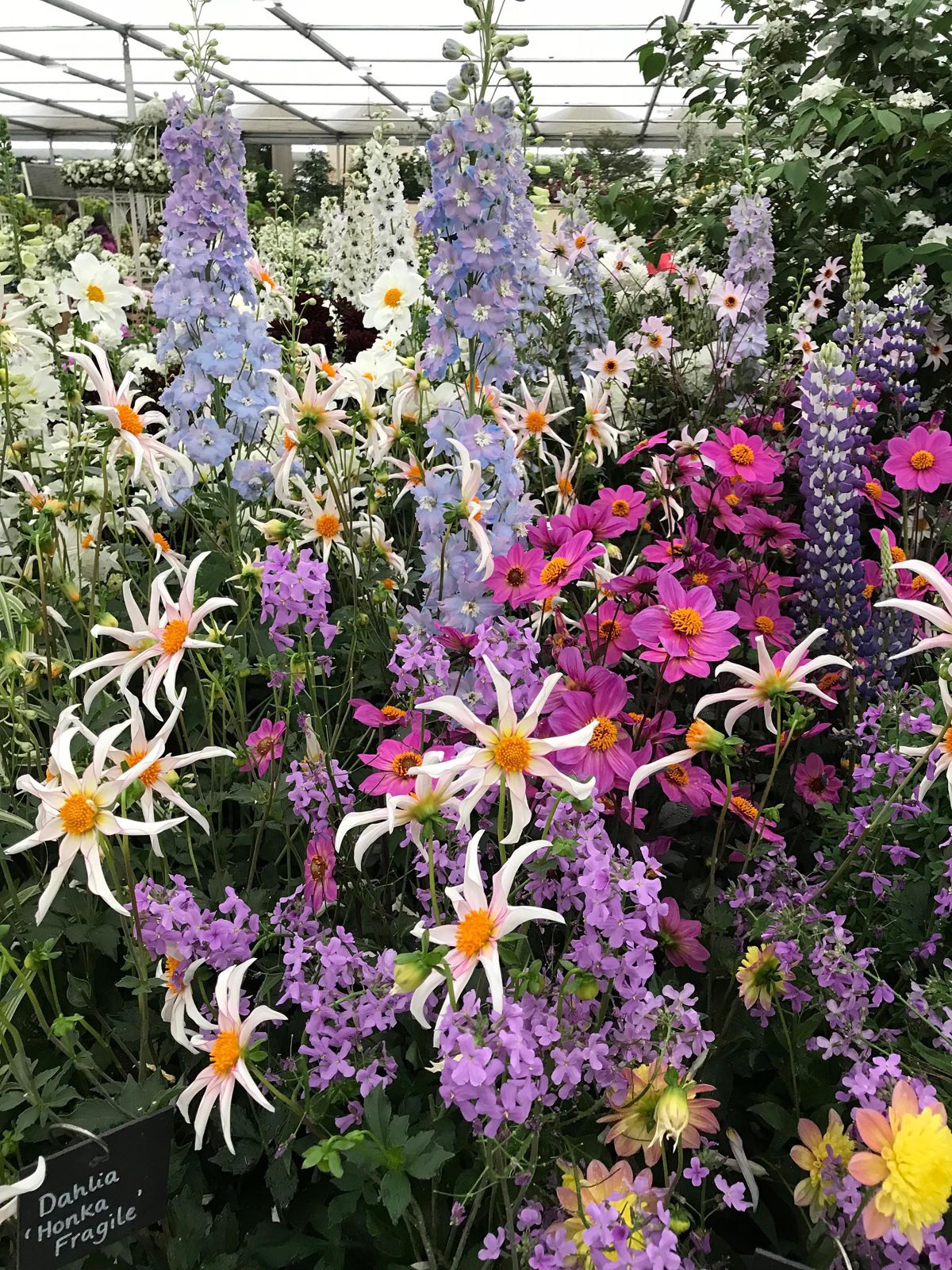The Great Pavilion at the Chelsea Flower Show was filled with colorful floral displays. (Susan Mulvihill/For The Spokesman-Review)
