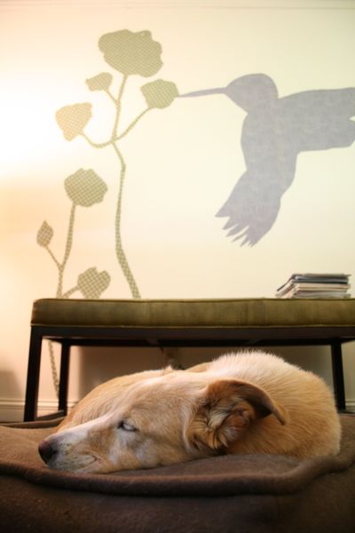  (Megan Cooley / The Spokesman-Review)