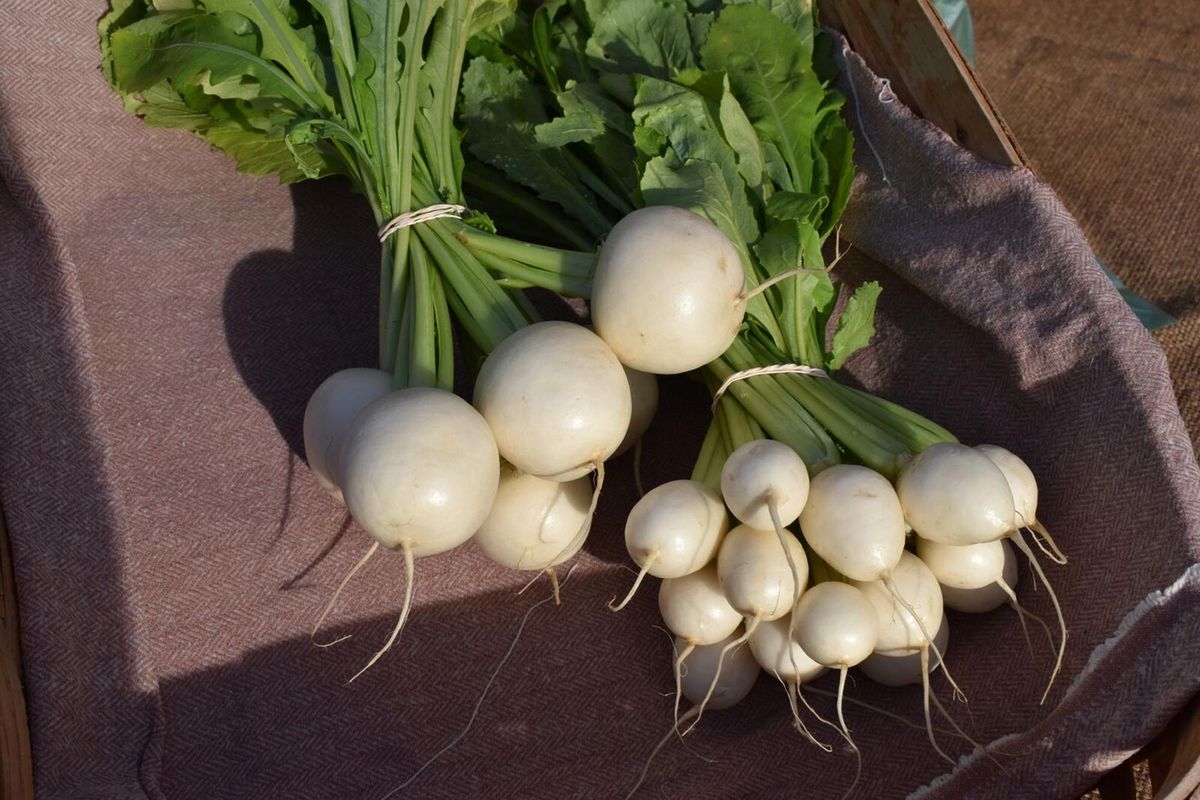 Spokane Valley Farmers Market July 16, 2019 The SpokesmanReview