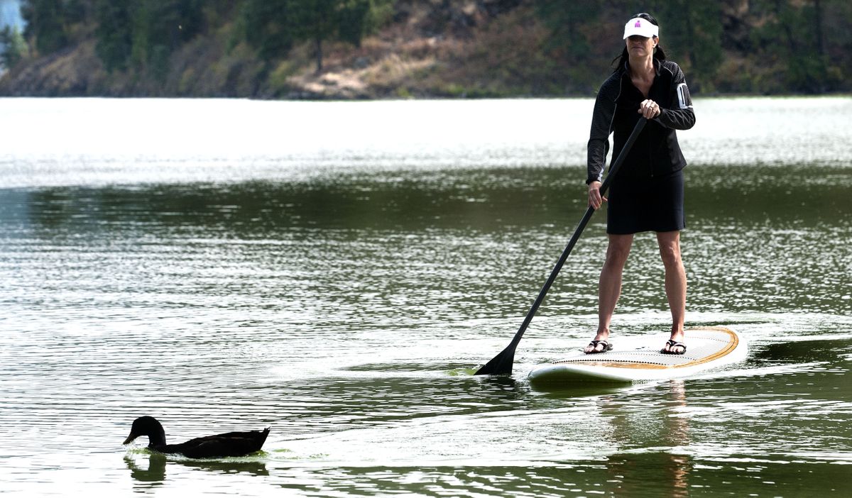 Idaho Invasive Species Sticker Requirements For Watercraft Clarified The Spokesman Review Idaho Invasive Species Sticker Requirements For Watercraft Clarified The Spokesman Review