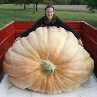 ORG XMIT: OHCAN101 Jackson Township resident Christy Harp shows off her world-record 1,725-pound Atlantic giant pumpkin on in Jackson Township, Ohio. Harp took first place at the Ohio Valley Giant Pumpkin Growers annual weigh-off Saturday in Canfield. She won $2,500 and could claim the world title. Contest organizers say the entry topped the 1,689-pound record-holder grown in 2007 by Joe Jutras of North Scituate, R.I. (AP Photo, The Canton Repository, Scott Heckel) (Scott Heckel / The Spokesman-Review)