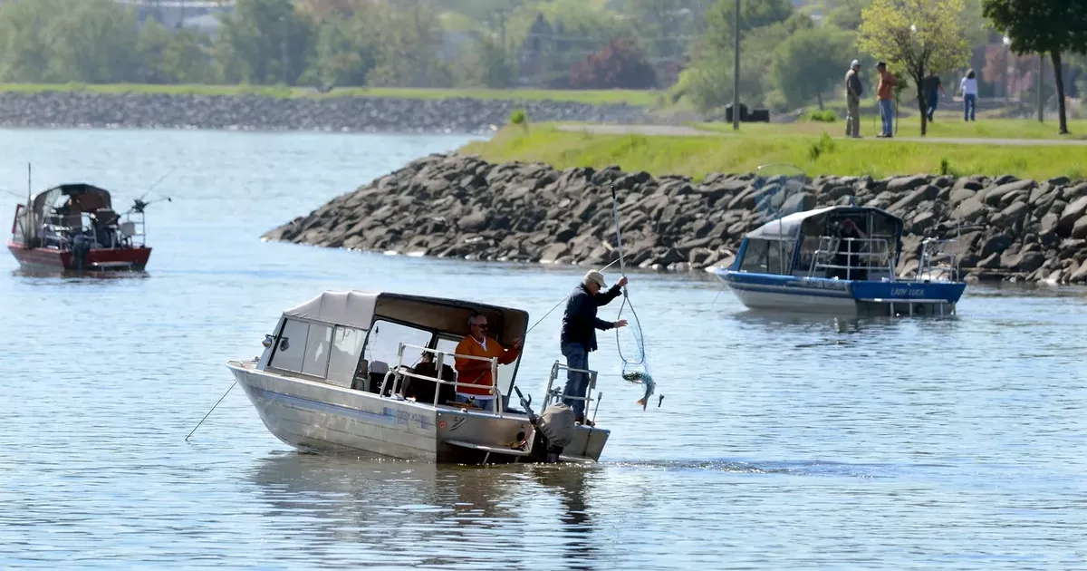 Idaho Fish and Game urging salmon anglers to go digital