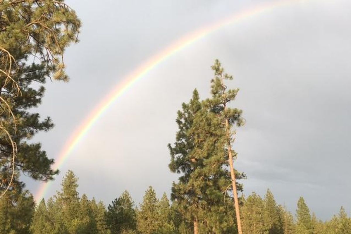 A rainbow and ponderosas make a perfect backdrop 
for backyard activities. (Carolyn Nesbitt)