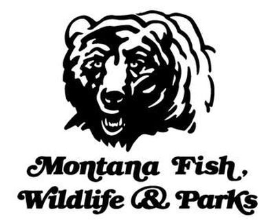 The Montana Department of Fish, Wildlife & Parks has begun a significant restructuring including the hiring of new upper management that will oversee a gamut of responsibilities from statewide site maintenance to recreation management. 